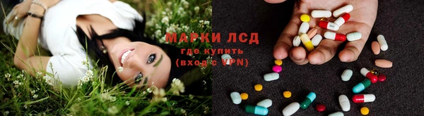 ГАЛЛЮЦИНОГЕННЫЕ ГРИБЫ Абаза