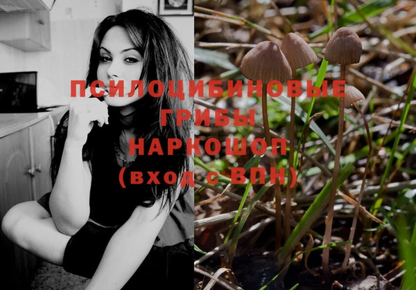 тгк Абинск