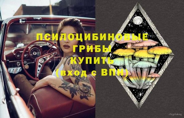 тгк Абинск