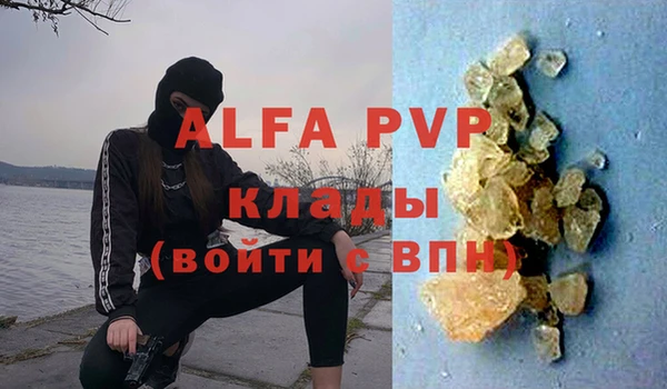 крисы Новозыбков