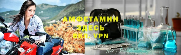 ГАЛЛЮЦИНОГЕННЫЕ ГРИБЫ Абаза