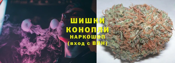 ГАЛЛЮЦИНОГЕННЫЕ ГРИБЫ Абаза